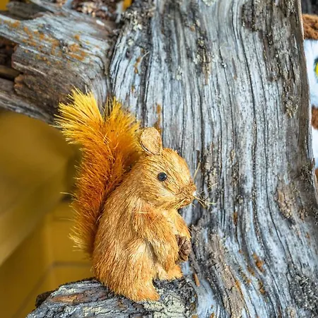 品加科蒂公寓 公寓