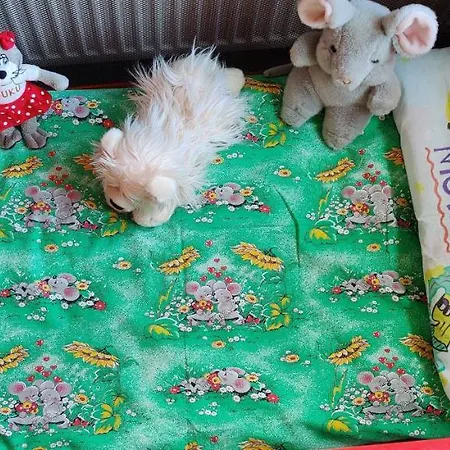 品加科蒂公寓 公寓