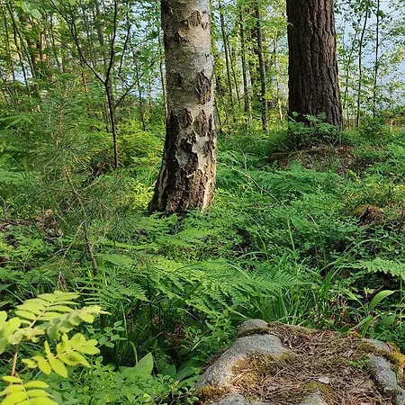 品加科蒂公寓 公寓 *